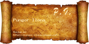 Pungor Ilona névjegykártya